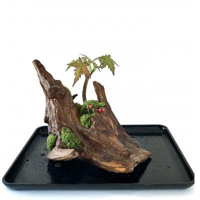 
            苔盆景流木山水画は、自然の美しさを凝縮した、心が和むアイテムです。【1432690】
          