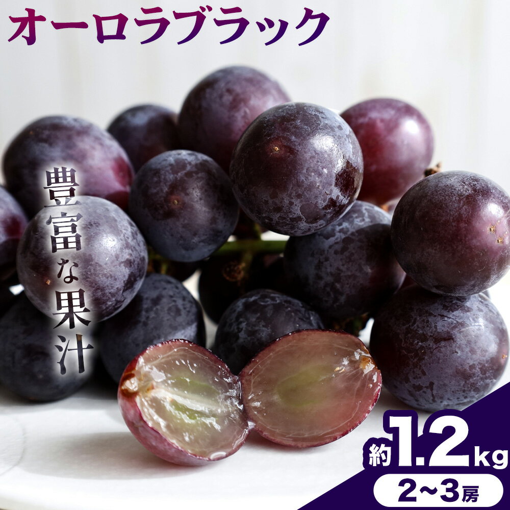 【ふるさと納税】【2026年発送先行予約】ご家庭用 岡山県産 オーロラブラック 1.2kg 2-3房 晴れの国おかやま館 《2026年9月上旬-9月下旬頃出荷》岡山県 矢掛町 葡萄 ぶどう 果物 スイーツ フルーツ デザート【配送不可地域あり】（離島）