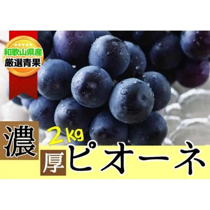 【甘さとみずみずしさが自慢】種なしピオーネ＜ぶどう約２kg＞★8月下旬から9月下旬発送★【KF10】