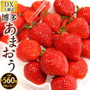 【ふるさと納税】福岡県産 博多あまおう DX上級品 約560g (約280g×2パック入り) いちご フルーツ 旬 果物 あまおう 苺 果汁 デラックス 冷蔵 国産 九州 【2024年12月上旬から12月下旬発送予定】