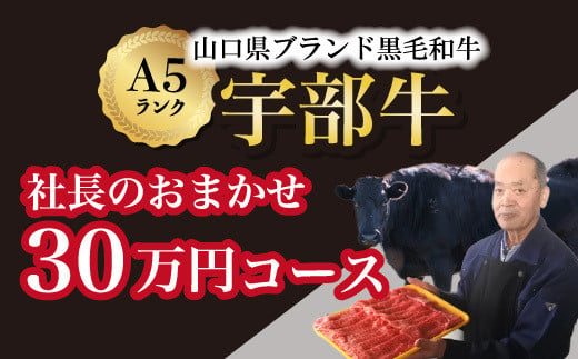 【山口宇部牛】社長おまかせ＜３０万円コース＞黒毛和牛Ａ５ランク宇部牛【山口宇部牛 社長おまかせ 30万円コース 黒毛和牛 A5ランク 宇部の特産品 ストレスフリー育成 オレイン酸含有量 上質な肉質 県外の有名デパート 関東の銘店 関西の銘店 高級肉 特選肉 宇部市産 肉のプレゼント 飲食店の指名品 安心安全な肉 高級食材 地元の誇り】