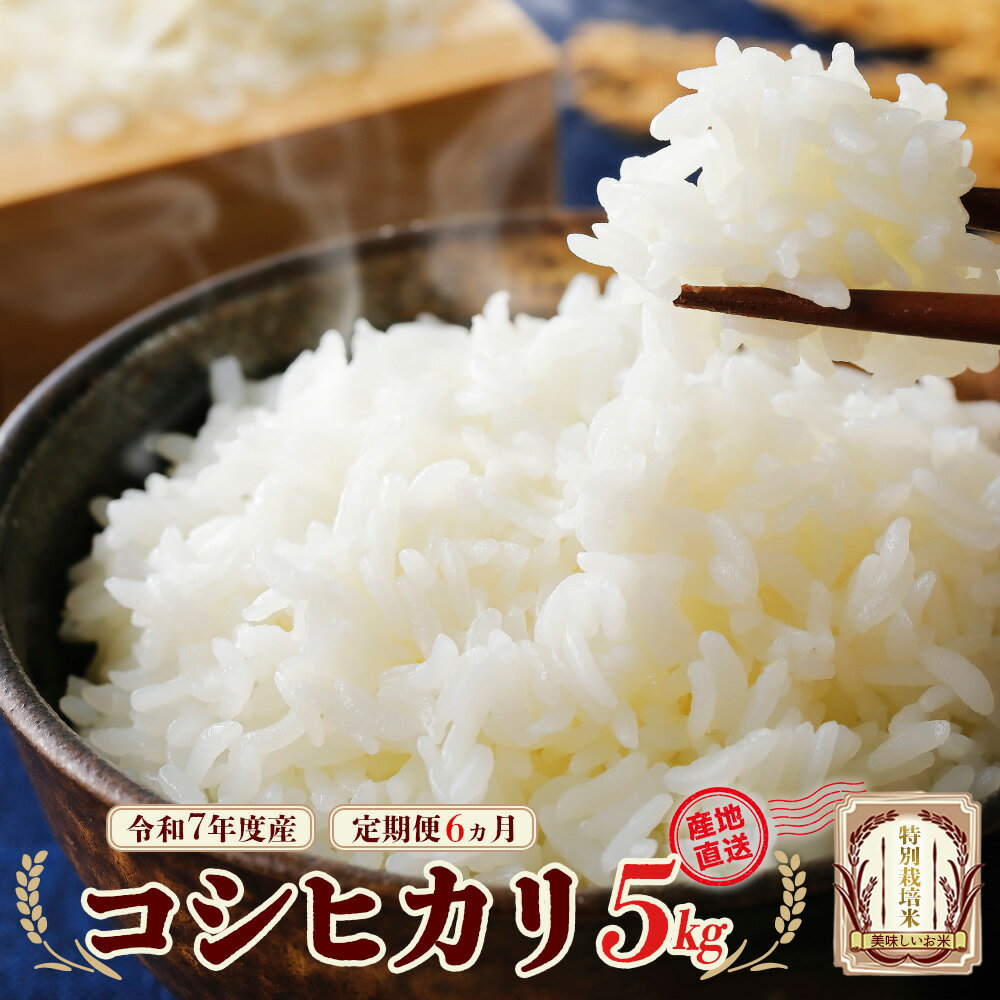 【ふるさと納税】令和7年産 特別栽培米コシヒカリ 5kg×6回 計30kg 【6か月定期便】 雪蔵銀ぴか米【07208-0688】