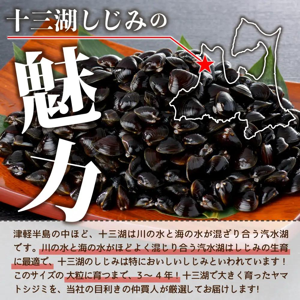 しじみ 1.6kg 大粒大和しじみ（冷凍）砂抜き済 十三湖