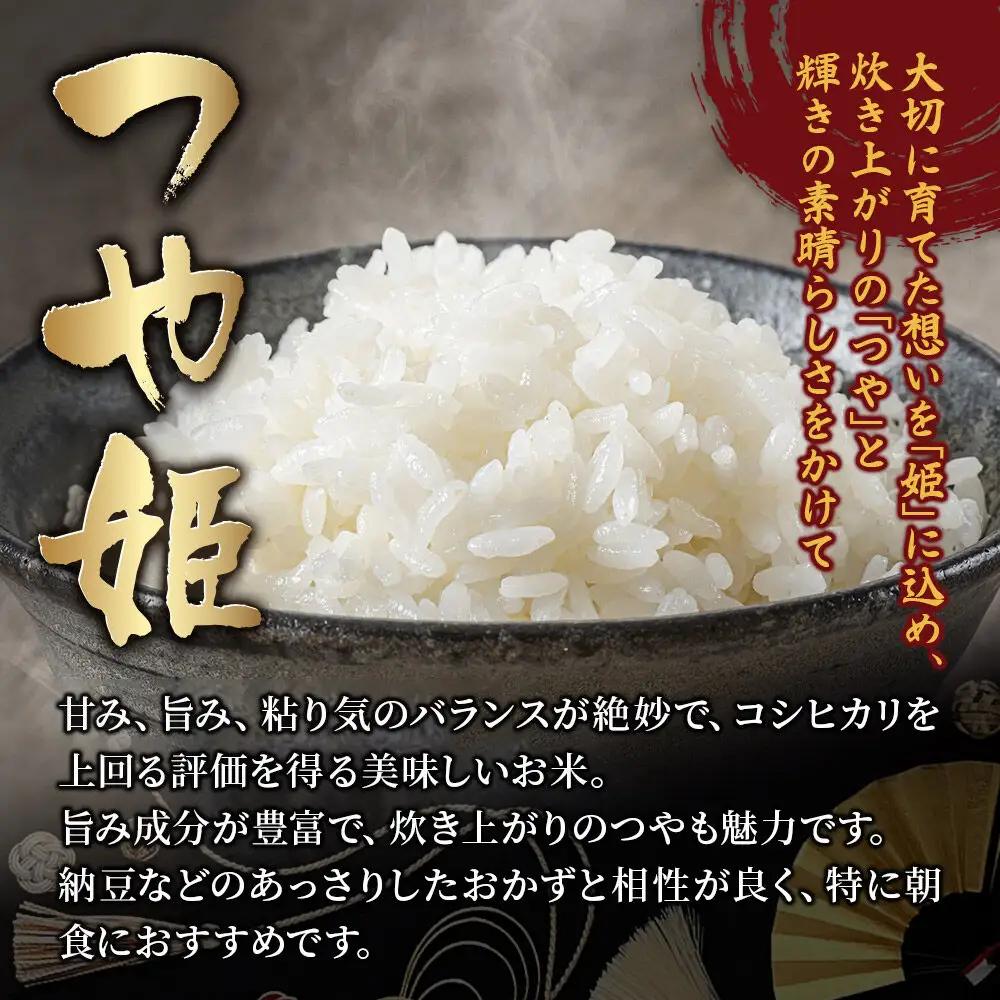 《定期便12ヶ月》【令和7年産・白米】宮城県産 つや姫 毎月5kg (5kg×1袋)×12ヶ月