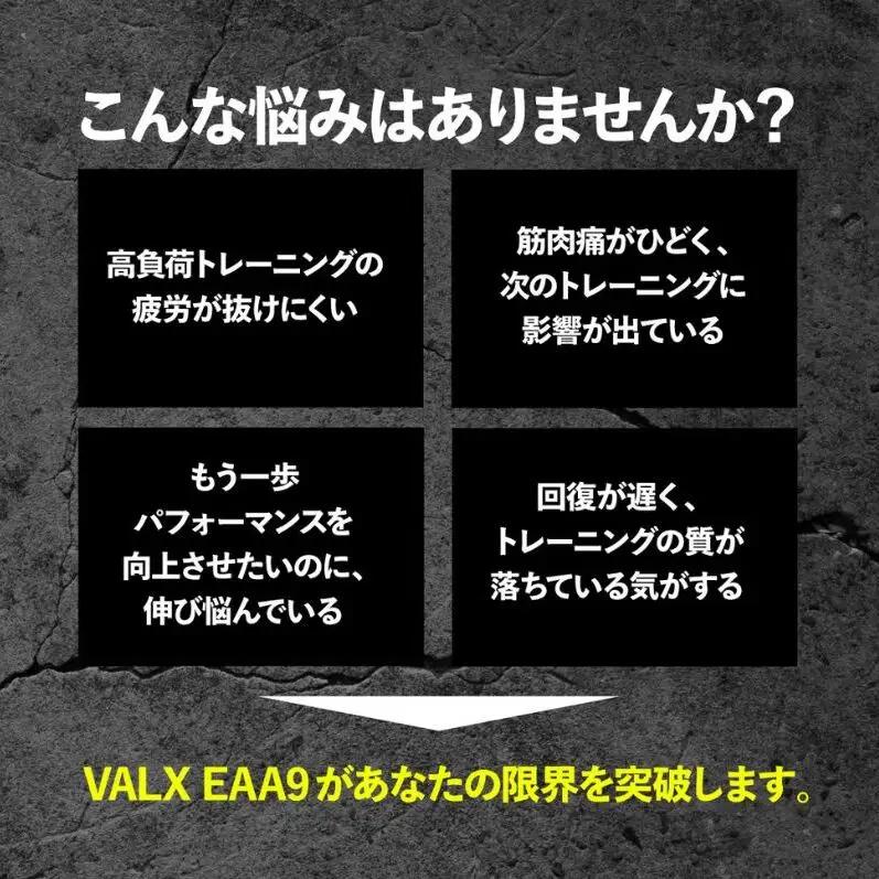 筋トレ VALX EAA9 500g サプリ パウダータイプ ライチ風味