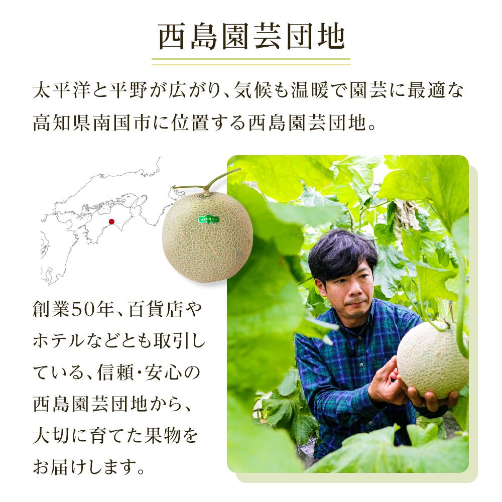 【先行予約】家庭用 メロン 青肉・赤肉 セット 各1個 | 青肉 メロン 赤肉 メロン セット 1個 マスクメロン めろん フルーツ 果物 厳選 高級 人気 デザート ギフト プレゼント 贈り物 くだ