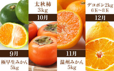 【先行予約】【全10回定期便】 プロが選ぶ！ 旬 の 果物 10ヶ月 定期便【くまふる】[ZBG005]