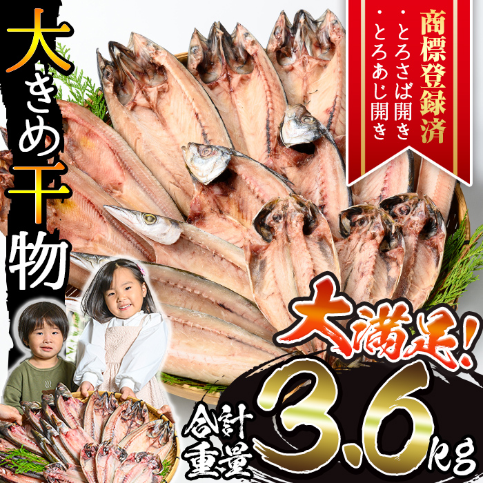 No.406-B 大きめ干物詰合せ＜合計3.6kg＞ 干物 セット 詰め合わせ ひもの 魚介類 魚 おかず おつまみ お楽しみ 【みのだ食品】