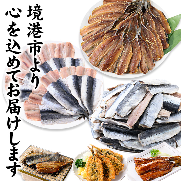 境港産いわし三昧セット(フィレ、ひらき、みりん干し)【sm-CD008】【羽根】