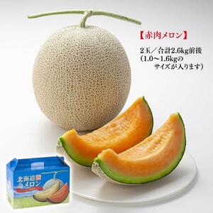 【先行予約】北海道産赤肉メロン　2玉入り　合計2.6kg前後（2026年7月中旬から発送開始）| メロン _01586