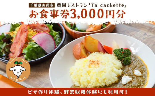 
ピザ作り体験、野菜収穫体験にも利用可！ 農園レストラン「Ta cachette」お食事券3,000円分 ／ 体験 チケット 野菜 収獲 ピザ 利用券 千葉県 山武市 SMBP001
