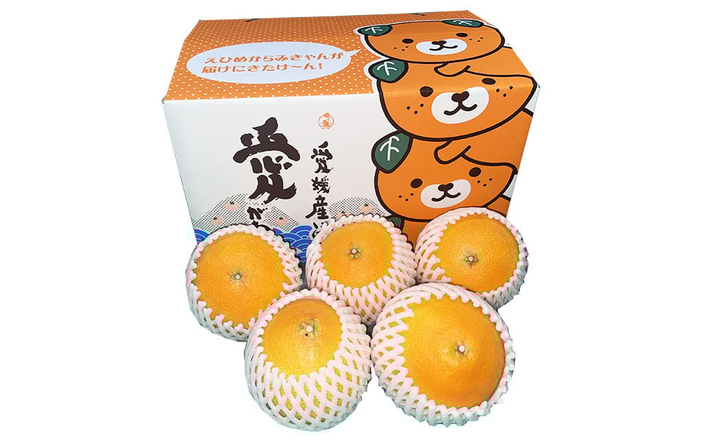 
            数量限定！愛媛県果樹研究センターが栽培！愛果28号 （愛媛果試第28号） 2kg 果物 くだもの フルーツ ミカン みかん かんきつ 柑橘 国産 常温 愛媛県 【2026年1月上旬～1月下旬発送予定】 （346）
          