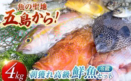 朝獲れ高級鮮魚セット4kg【五島列島直送】五島市/鯛福丸水産[PDP003]鮮魚BOX 詰め合わせ 詰合せ せんぎょ 冷蔵 刺身 魚 海鮮 直送 さかな 新鮮人気 おすすめ
