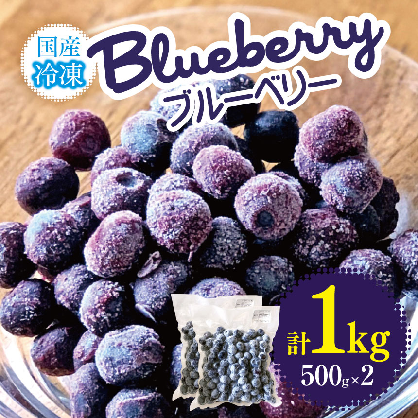 【ふるさと納税】冷凍ブルーベリー　1kg│信州 贈答用 ブルーベリー ジャム ソース 新鮮 加工品 甘い 美味しい 特別 松本 ふるさと納税 上高地