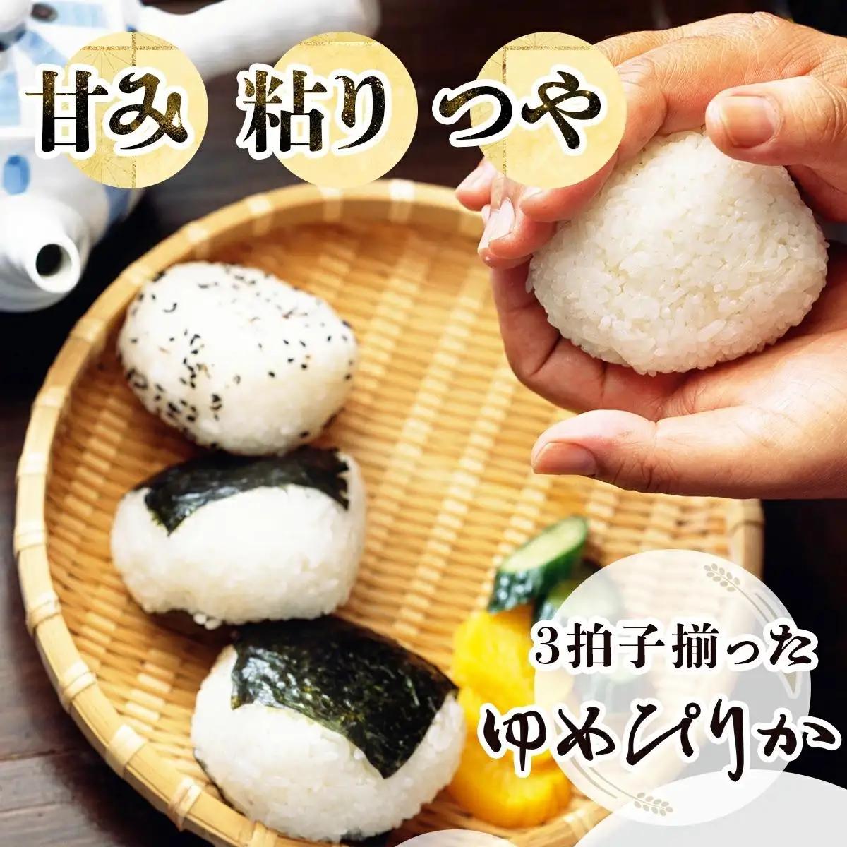 《令和 7 年産》お米 ゆめぴりか 10kg｜『100%自家生産精 米』善生さんの自慢の米 ※一括発送 北海道 岩見沢市 a104-117