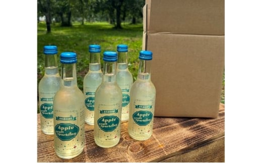 アップルクラフトスパークリング 1箱 250ml×6本【配達不可：沖縄県・離島】