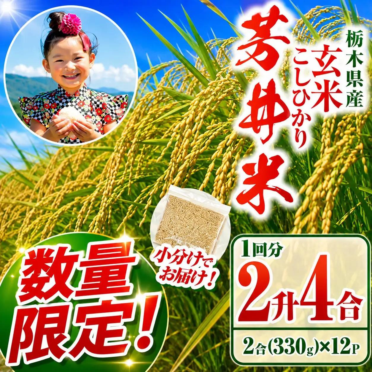 【ふるなび限定】【数量限定】【令和8年度産】那珂川町産 芳井米 玄米 330g（2合分）×12 | こしひかり 米 ごはん  ふっくら もちもち  ふるさと納税 那珂川町 栃木県
