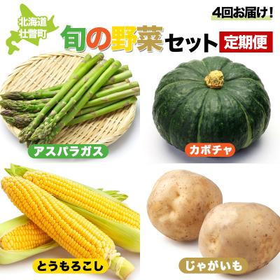 ふるさと納税 壮瞥町 &lt;2026年5月下旬よりお届け&gt;旬の野菜4種の定期便 SBTA045
