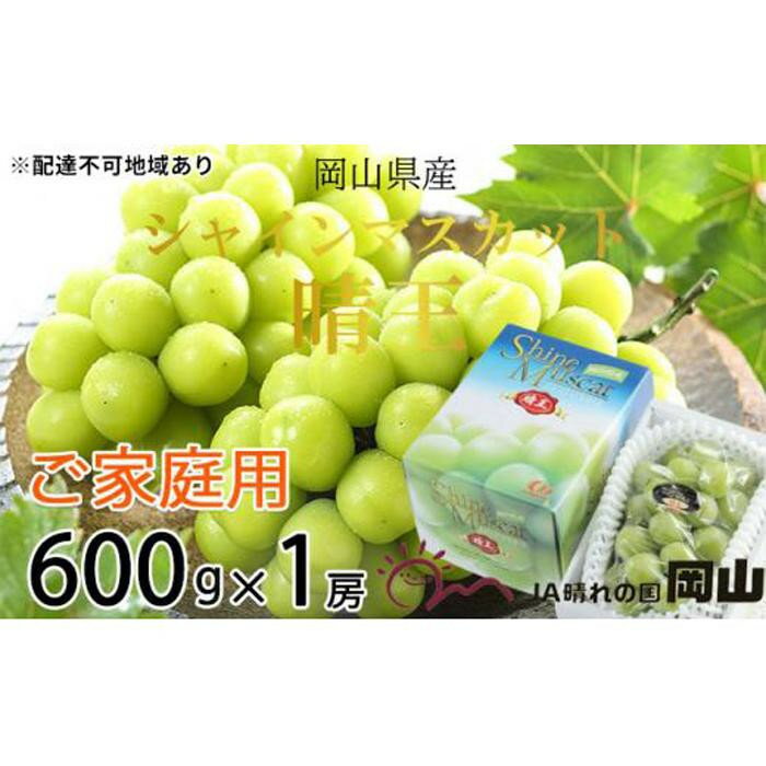 【ふるさと納税】【内容量が選べる】ぶどう 2026年 ご家庭用 シャイン マスカット 晴王 約600g×1房～3～6房 約2kg | フルーツ 果物 くだもの 食品 人気 おすすめ 送料無料