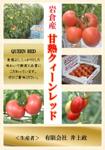 [予約受付] 水耕栽培トマト (大玉) 定期便6回 (2024年12月から順次発送)｜甘い 完熟 とまと 野菜 直送 [0684]