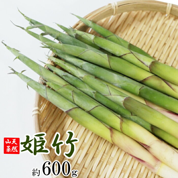 【ふるさと納税】 期間限定 天然山菜 竹の子 約 600g ／ じじちゃんのいぶり大根 採れたて タケノコ 筍 皮付き 春 旬 料理 天ぷら 素焼き 炊き込みご飯 味噌汁 煮物 七輪 グルメ たけのこ 姫竹 ヒメタケ 根曲がり マヨネーズ和え 岩手県 八幡平市 産地直送 送料無料