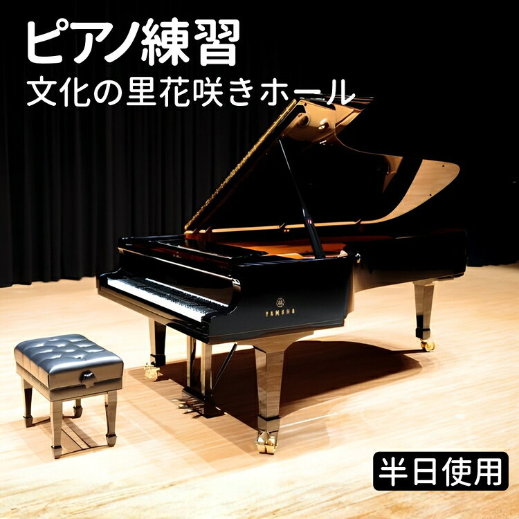 【ふるさと納税】ピアノ練習 文化の里花咲きホール半日使用 [No.394] ／ チケット ステージ 送料無料 岐阜県