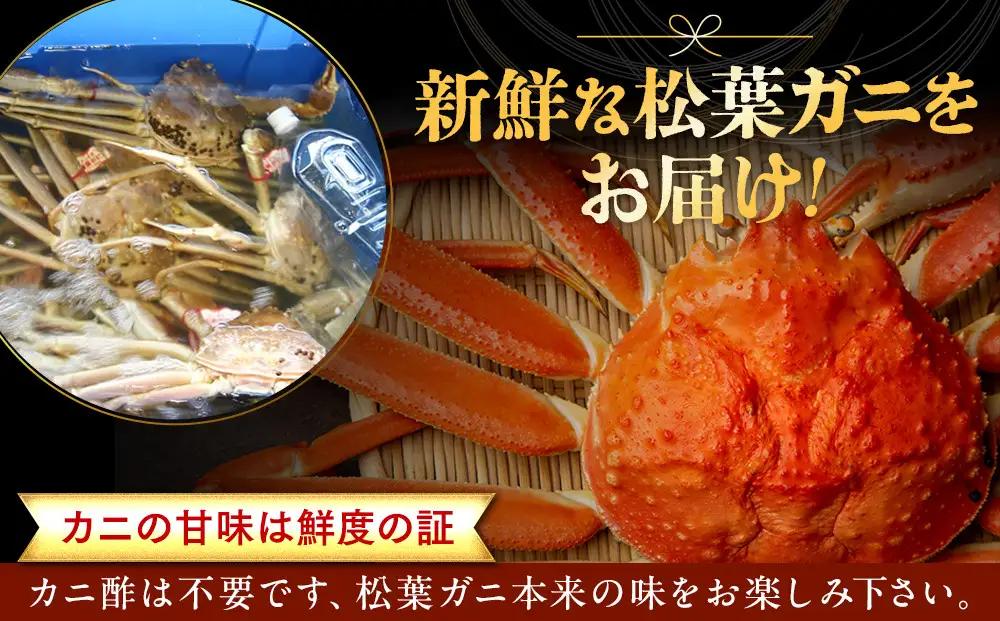 【活】足1本なし 訳あり 松葉ガニ 中1枚（700g前後）| カニ 松葉ガニ タグ付き 【着日指定不可】※2026年11月上旬～2027年3月下旬頃に順次発送予定 | カニ 松葉ガニ