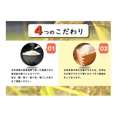 ふるさと納税 十日町市 【毎月定期便】魚沼産川西コシヒカリ 精米 5kg全12回 |  | 01