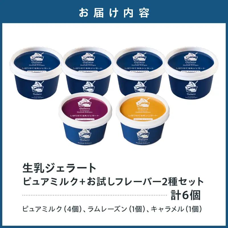 生乳ジェラートセットピュアミルク＋お試しフレーバー2種セット　6個 【yo098-007】