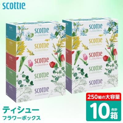 ふるさと納税 八代市 ティッシュ 250組 10箱 フラワーボックス  日用品 スコッティ_186-6424