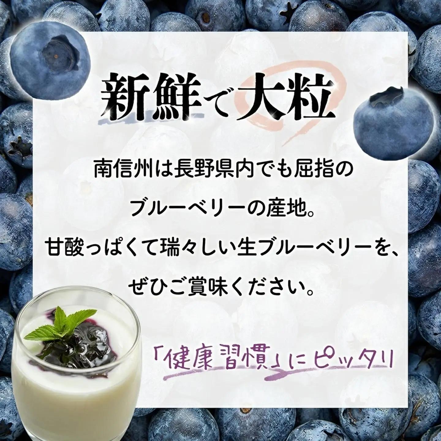 A-118　生ブルーベリー 約1kg（100g×10パック） 【2027発送分】