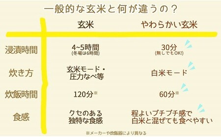 やわらかい玄米 900g×4袋　※定期便6回　小分け 米 こめ コメ ごはん 栄養豊富 簡単 便利 美容 健康 新食感 もちもち 安心安全なヤマトライス H074-704