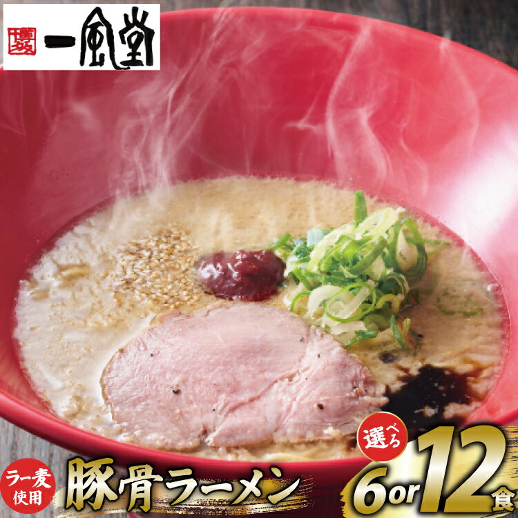 【ふるさと納税】 ラーメン 一風堂 とんこつラーメン 赤丸新味 ラー麦麺 スープ 選べる 6食 12食 セット [地域商社ふるさぽ 福岡県 筑紫野市 21761441]博多 福岡 らーめん ラー麦 とんこつ 豚骨 博多ラーメン 豚骨ラーメン