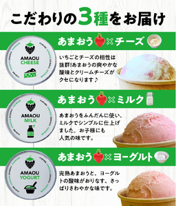 【ICHIGOYA】福岡県産 完熟あまおう ジェラート(アイス) 3種×2個(計6個) レアチーズ！ミルク！ヨーグルト！_ICHIGOYA 福岡県産 完熟 あまおう ジェラート アイス 3種 × 2個