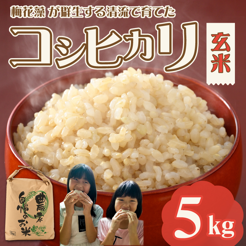 【先行予約】令和8年産 梅花藻が群生する清流で育てたコシヒカリ（玄米 5kg×1袋）※2026年9月下旬以降順次発送予定 [A-040028]