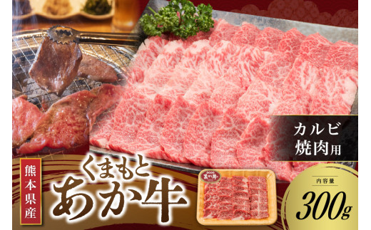 
【くまもとあか牛】熊本県産 褐毛和牛 カルビ 焼肉用 300g
