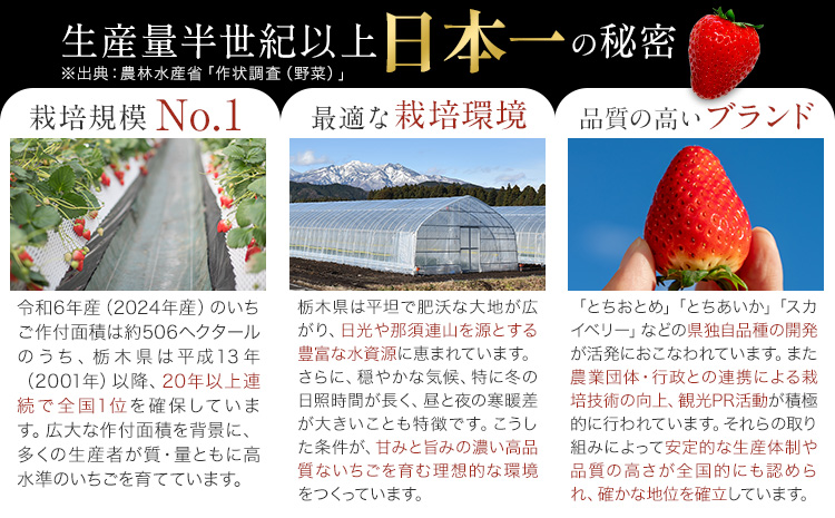 栃木 いちご 食べ比べ とちおとめ とちあいか 2パック 520g 《1月中旬-5月上旬頃出荷》 栃木県 野木町 いちご イチゴ 苺 とちおとめ とちあいか 食べ比べ 果物 フルーツ ハート型 ジュー