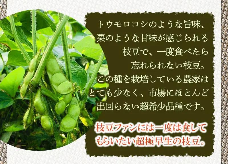 【令和9年産】枝豆 つるおか・ぼんちゃ豆 1.35kg(450g×3袋)  7月中旬～下旬 治五左衛門