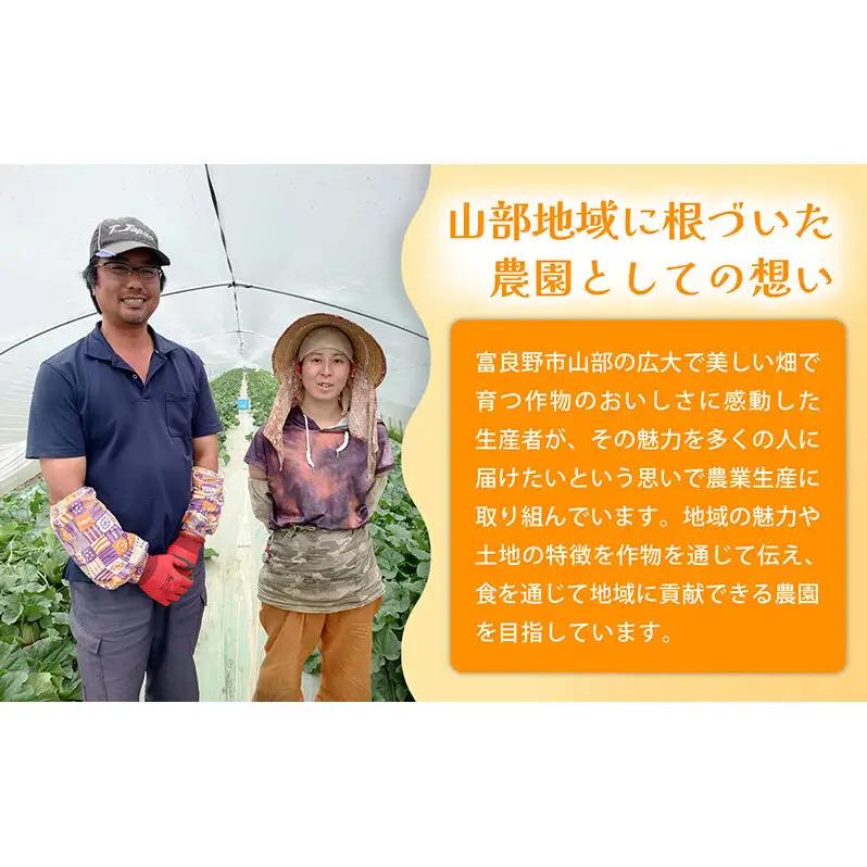 【糖度15度以上 赤肉メロン】富良野産 メロン 1.6kg×1玉 4箱 計6.4kg｜北海道富良野市 7～8月発送 ご褒美 プレゼント メロン 赤肉メロン 富良野メロン 果物 フルーツ とろける甘さ 