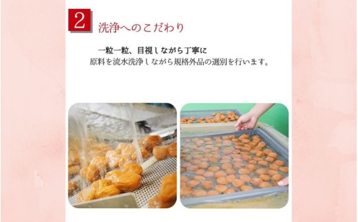 勝喜梅　甘仕立て「喜」550g ／塩分10％　【shokibai008】