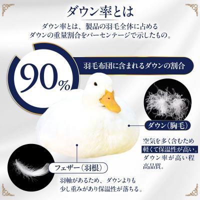 ふるさと納税 糸島市 【糸島羽毛ふとん 訳あり】羽毛布団柄おまかせダウン90%【ダブル】[AYM007] |  | 02