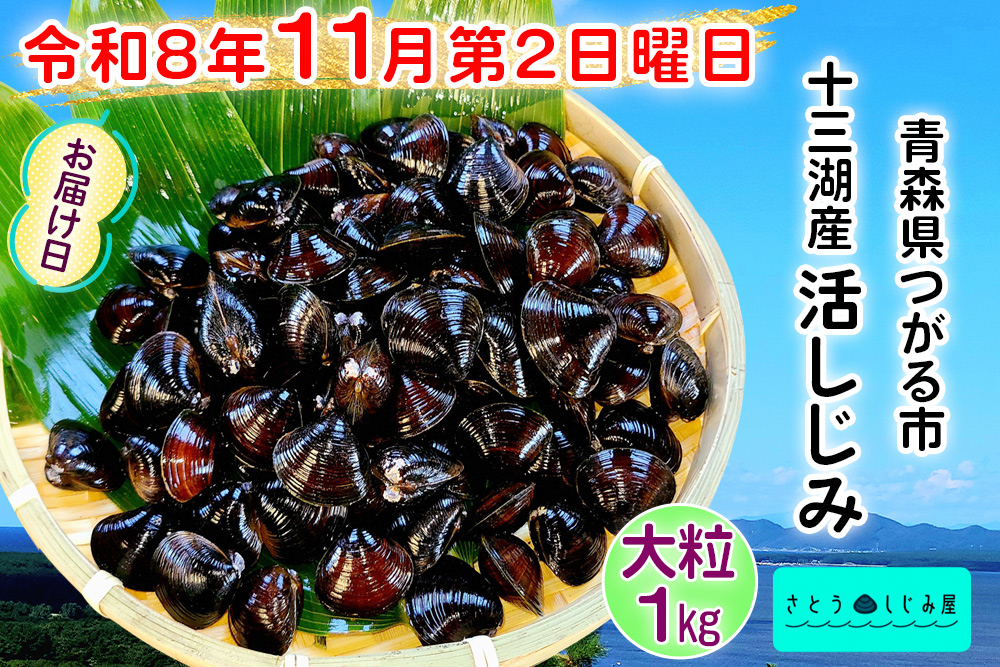 [令和8年11月第2日曜日配達] さとうしじみ屋の十三湖産活しじみ(大粒1kg)[冷蔵]｜十三湖産 青森 津軽 つがる しじみ みそ汁 味噌汁 しじみ汁 活しじみ 冷蔵 [0817]