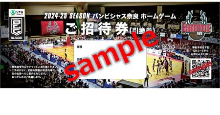 観戦チケット 限定グッズ＆観戦チケットセット バンビシャス奈良 観戦チケット プロバスケットチーム Bリーグ 観戦チケット バスケット ギフト 観戦チケット プレゼント 贈答品 お礼の品 観戦チケット 奈良県 奈良市 奈良 なら 25-004