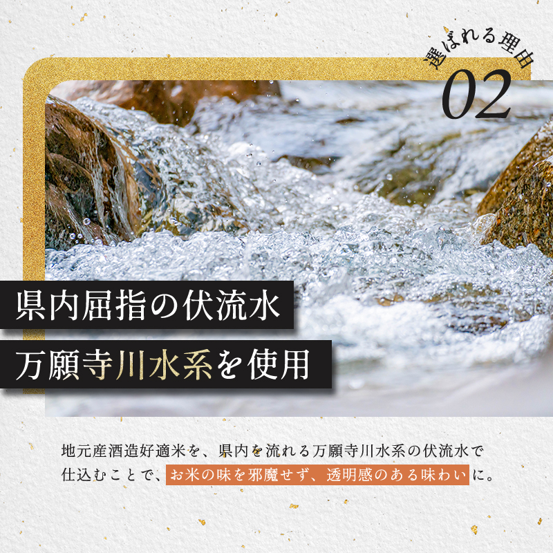 菊日本 純米大吟醸  2本セット おすすめ ギフト プレゼント お祝い お酒 日本酒 純米大吟醸酒