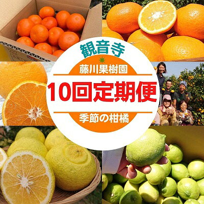 【ふるさと納税】みかん 定期便 10ヶ月 10回 柑橘セット 香川県産 頒布会 レモン 由良早生 田口早生 石地みかん はれひめ 讃岐しらぬひ 不知火 セミノール 甘夏柑 毎月 食べ比べ フジカワ果樹園 藤川果樹園 果実 フルーツ 果物 くだもの 蜜柑 ミカン 香川県 観音寺市