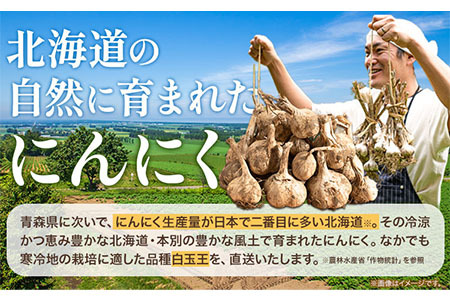 【先行予約】土付き にんにく 白玉王 1kg Lサイズ 本別町産 斎啓一 《2026年8月上旬-9月末頃出荷》