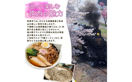 【 JA北つくば 】 こだますいか 「 スウィートキッズ 」 4～5玉