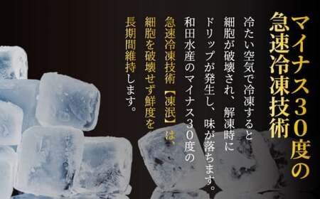 【 ねぎとろ 】 和田水産 ねぎとろ 1.1kg