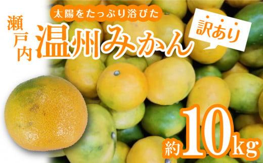 ＼寄附額改定／【訳あり】太陽たっぷり浴びた　瀬戸内温州みかん　約10kg【2024-10月上旬～2025-1月中旬配送】