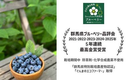 ブルーベリー大粒500g 朝摘みでお届け！【5年連続最高金賞受賞 群馬県ブルーベリー品評会2021~2025年】 大粒 化学農薬不使用 除草剤不使用 フルーツ 果物 F4H-0687